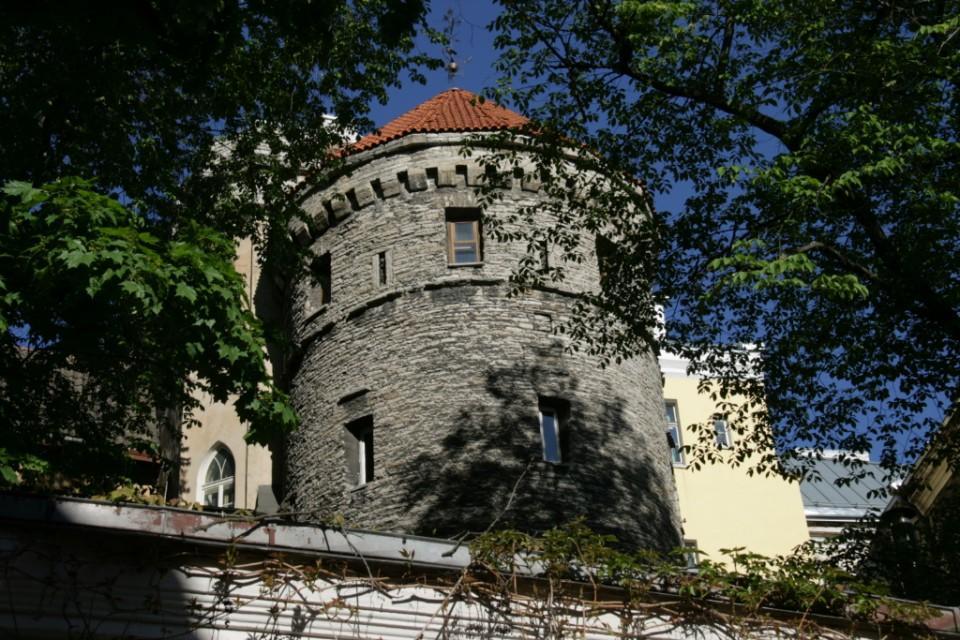 Rapunzel Tower Apartment Ταλίν Δωμάτιο φωτογραφία